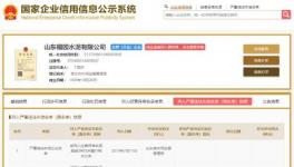 被罚！这246家水泥厂上“黑榜”！