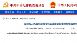 突发！海螺原董事长被查！