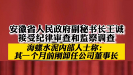 立案！海螺、华新、华润等多位高管被查！