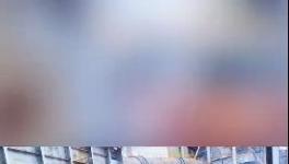 杀公鸡！开窑！水泥厂“辟邪”！