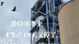 全停！最长200天！20个省水泥厂停产！