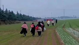 反扑！多省工地停工！水泥厂停发！商混站“告急”！