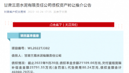 公告！多家水泥厂被卖！