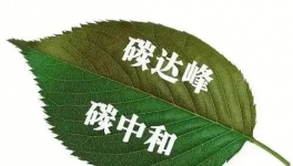 缝出匠心！这家环保企业脱颖而出！市场占有率名列前茅！